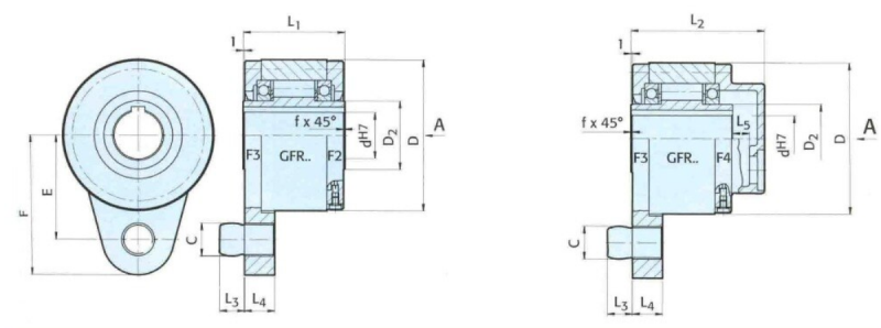 vòng bi 1 chiều gfr